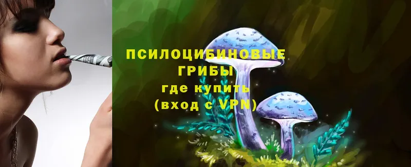 ссылка на мегу   Калининск  Галлюциногенные грибы MAGIC MUSHROOMS 